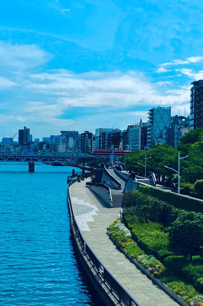 隅田川を言問橋から望んだ景色。都心では珍しい空と川と緑を一望できる気持ちの良い場所です(撮影：TOE LIBRARY)